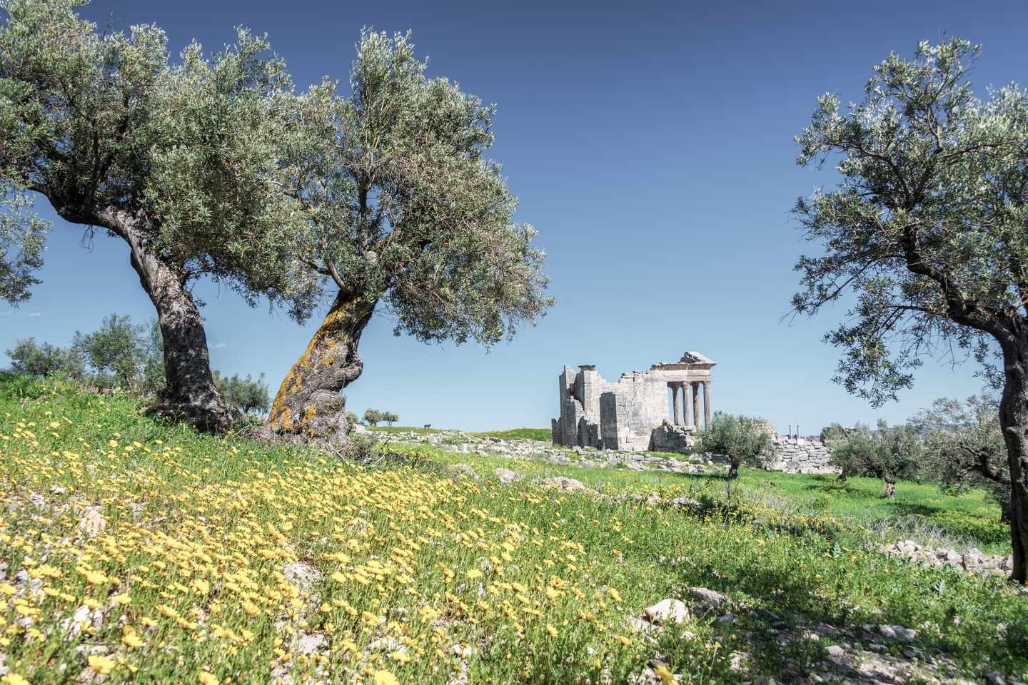 tunesien-dougga-tempel-g-1150850696.jpg
