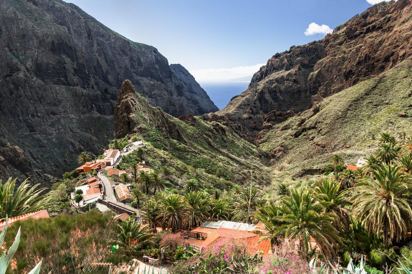 blt0d8e3570359ca503-kanaren-teneriffa-masca-schlucht-wandern-g1222864053.jpg kanaren-teneriffa-masca-schlucht-wandern-g1222864053.jpg