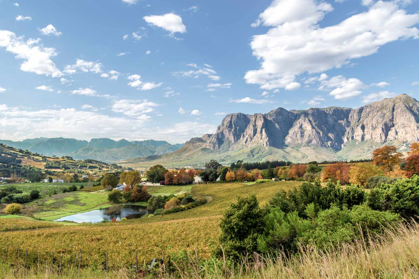 suedafrika-stellenbosch-weingut-g-495212167.jpg