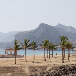 Oman-Strand-mit-Palmen-g-505891194.jpg