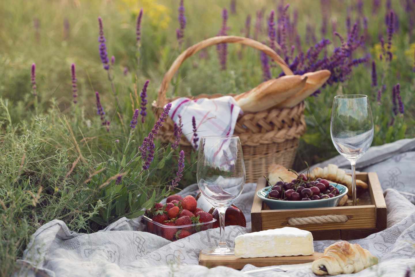 frankreich-suedfrankreich-lavendelfeld-picknick-g-954816904.jpg