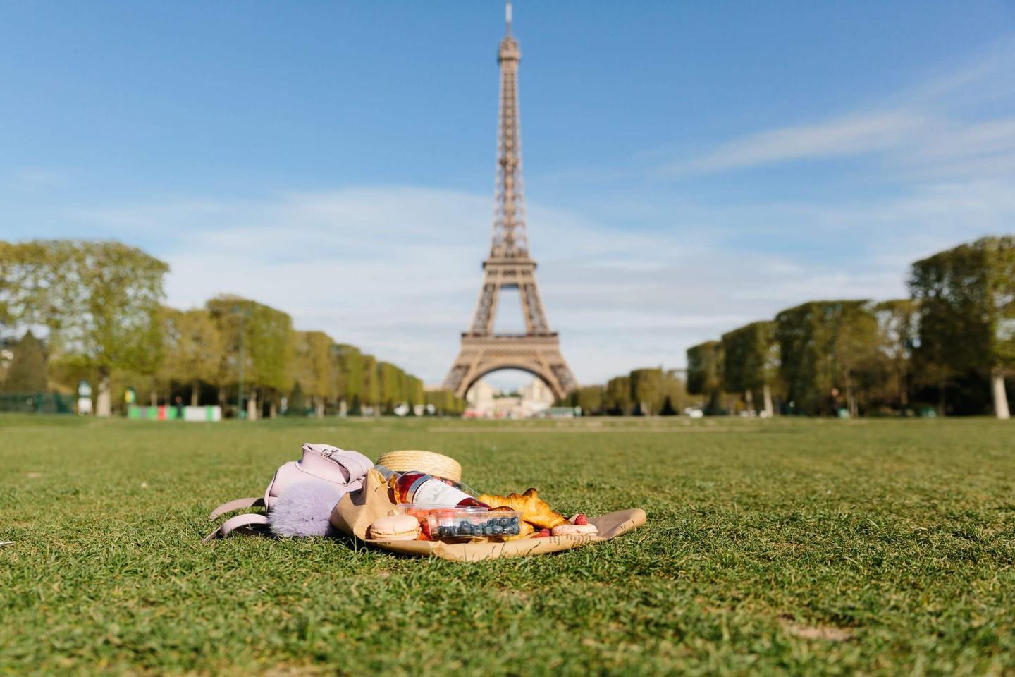 frankreich-paris-eiffelturm-picknick-g-1388564894.jpg