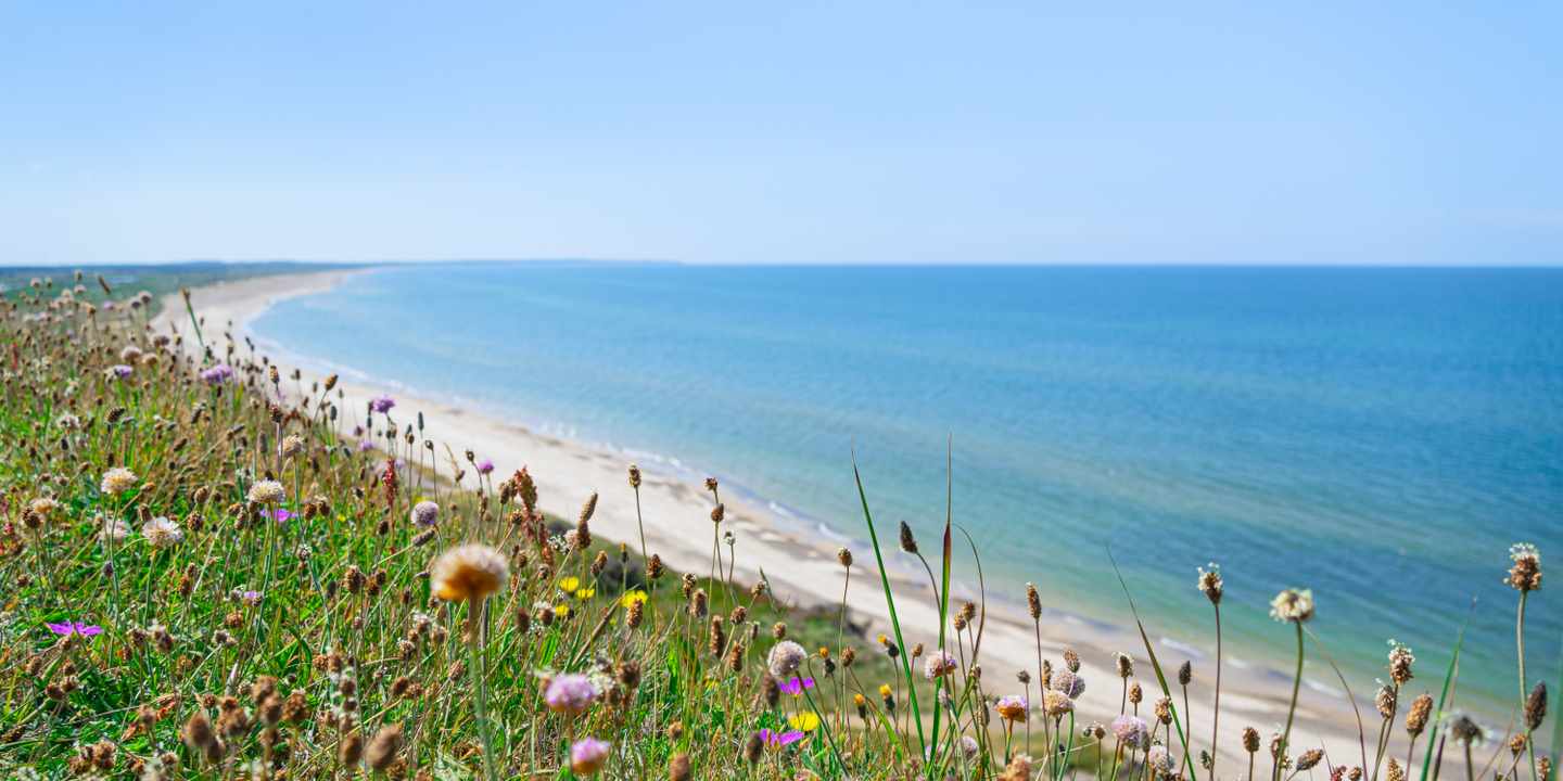 daenemark-lokken-strand-g-1498605307.jpg