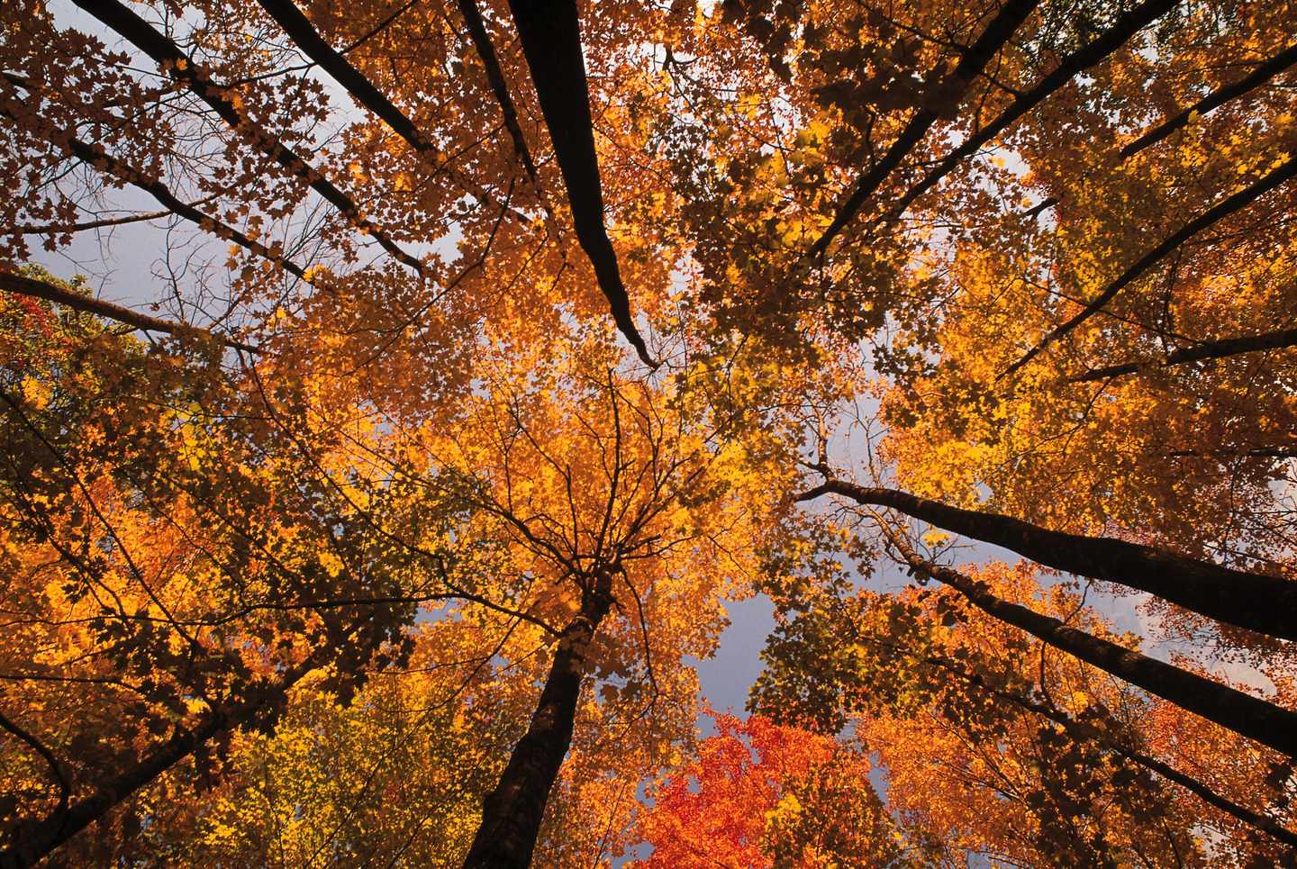 indian-summer-herbst-t-78458045.jpg