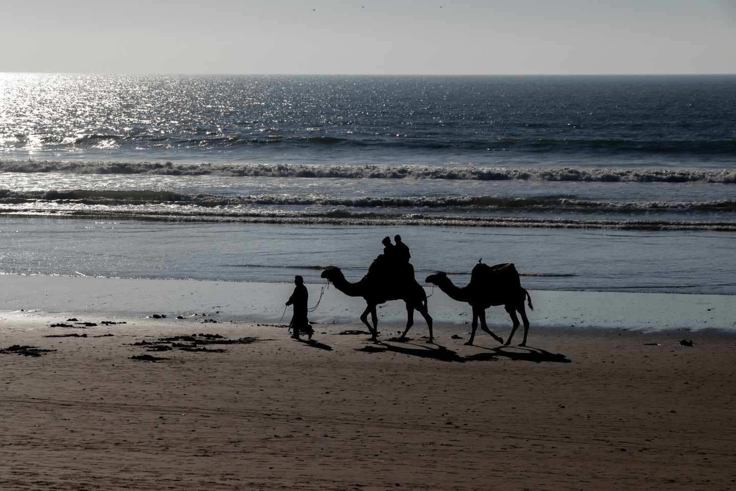 marokko-agadir-kamelausritt-am-strand-klein-g-1142268584.jpg