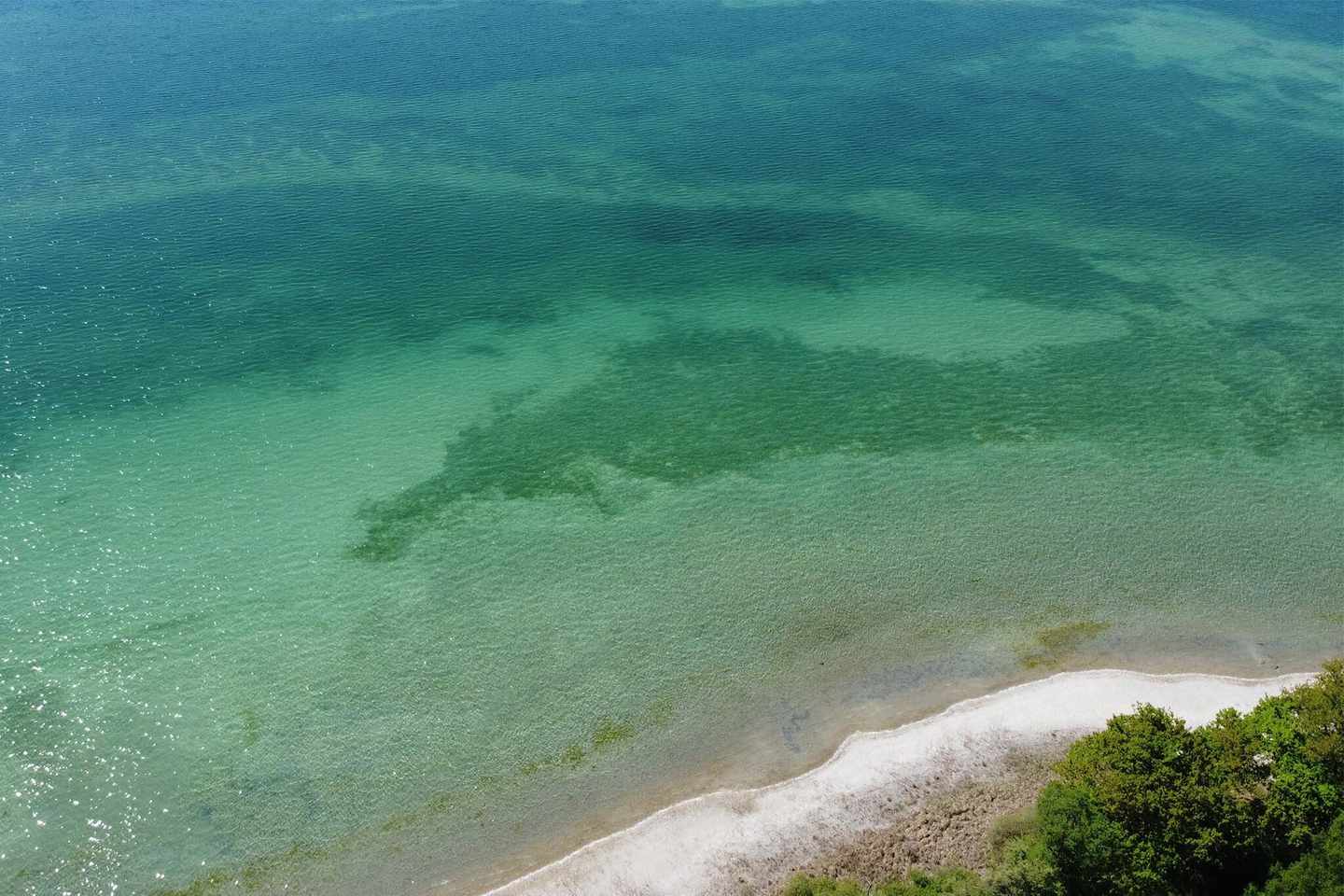 deutschland-bodensee-schoenste-straende-panoramasicht-auf-bodensee-g-1311935939.jpg