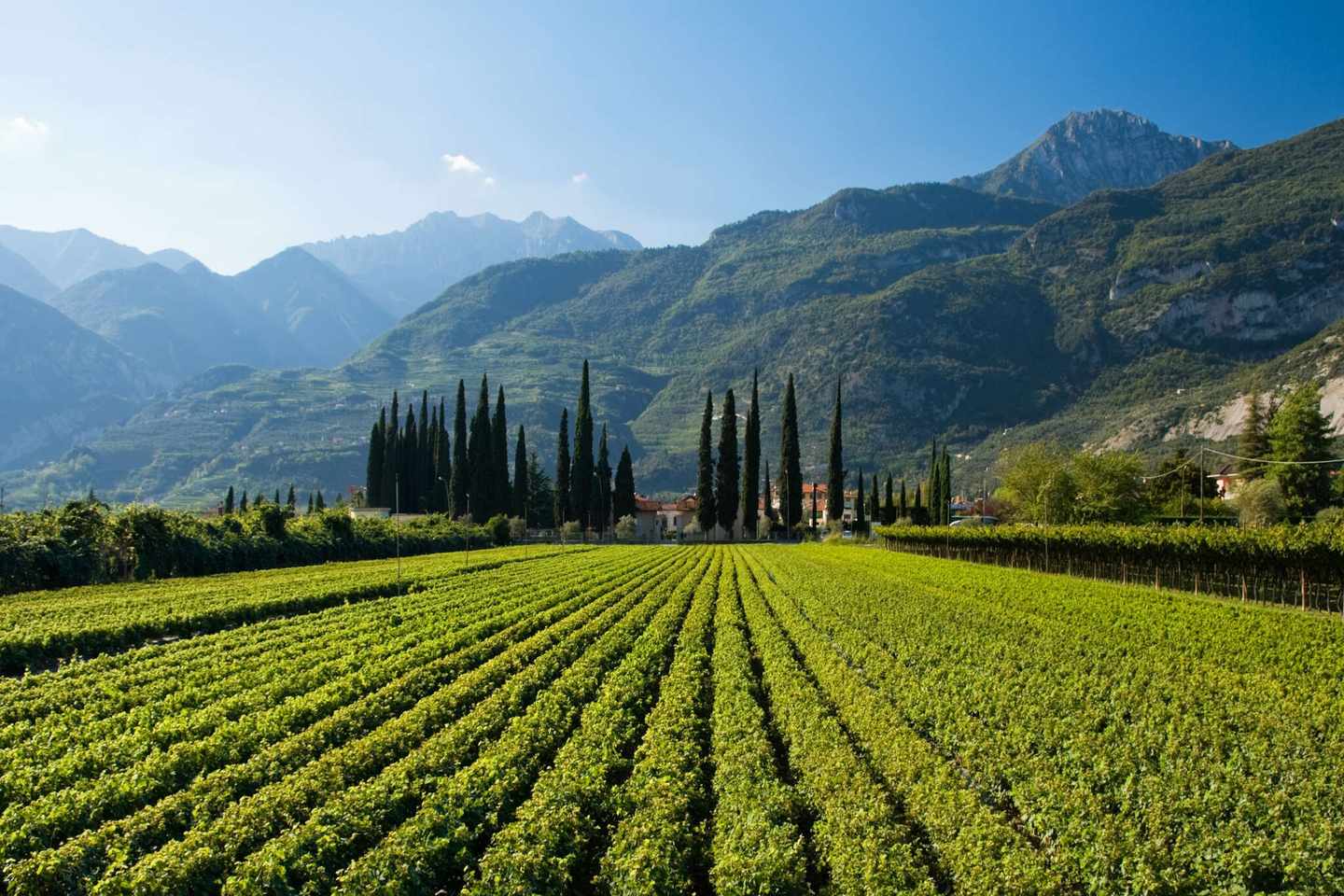 italien-hero-roadtrip-italienischer-farm-g-146963943.jpg