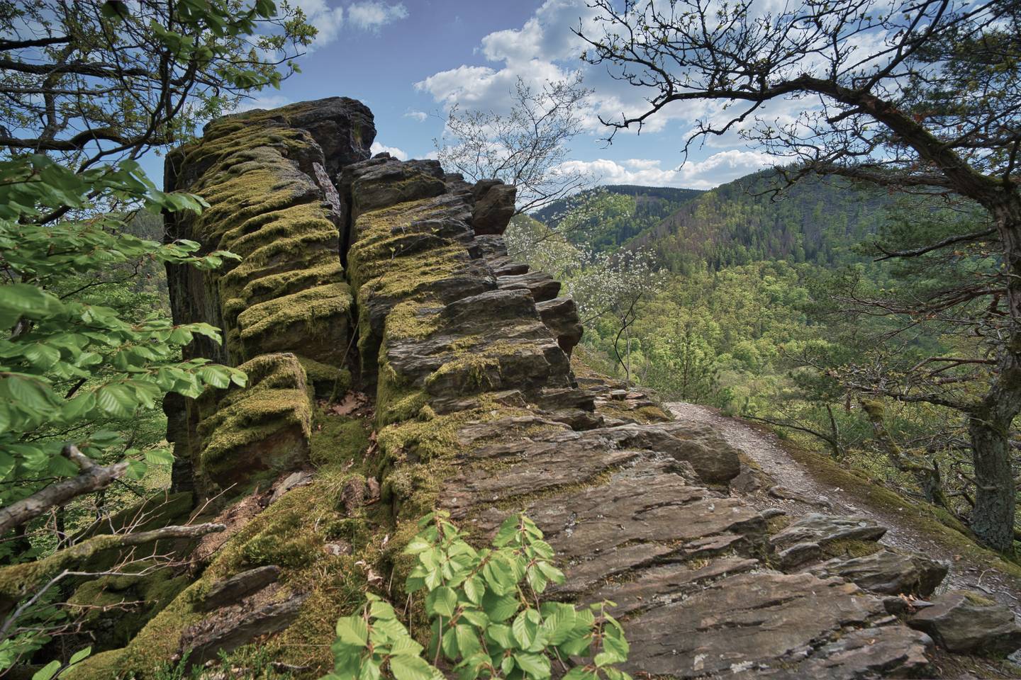 deutschland-thueringen-thueringer-wald-rennsteig-felsen-g-1398354632.jpg