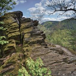 deutschland-thueringen-thueringer-wald-rennsteig-felsen-g-1398354632.jpg