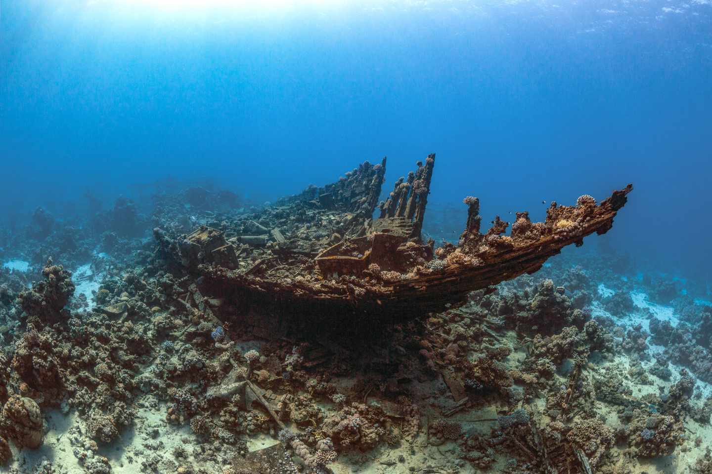 GettyImages-1359810368.jpg Versunkenes Schiffswrack am Tauchplatz Abu Dabab zwischen Korallen im Roten Meer in Ägypten