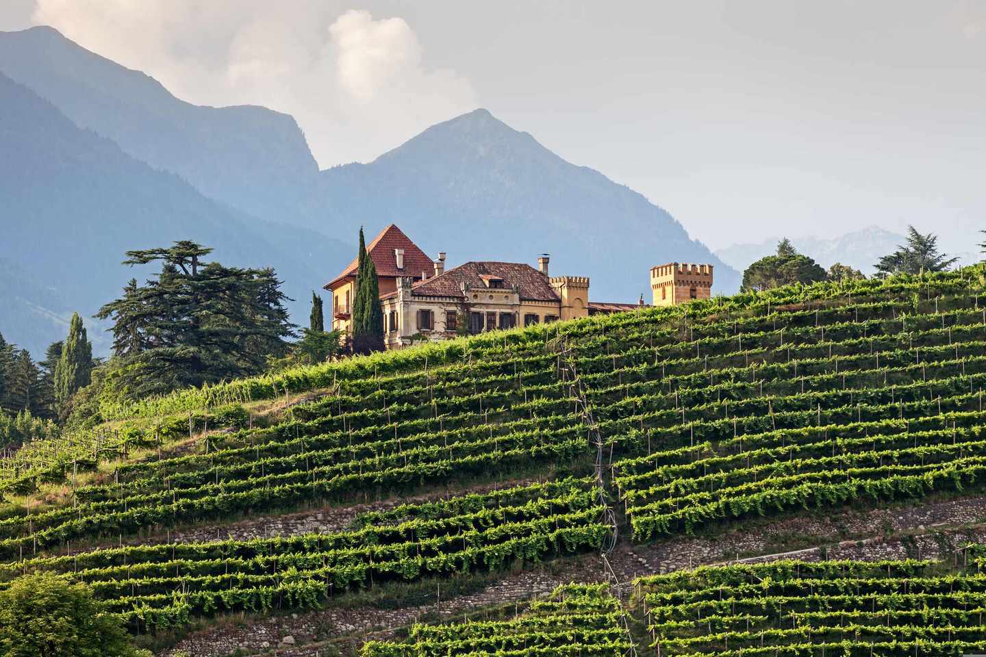 italien-hero-roadtrip-mansion-in-den-vineyards-g-471767791.jpg