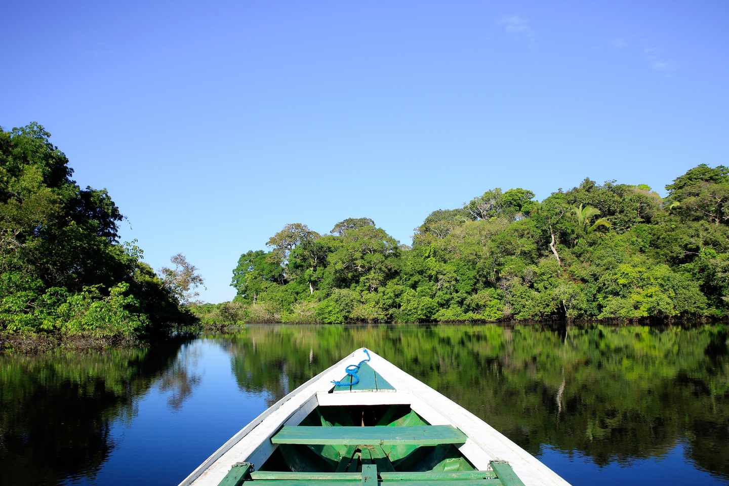 Brasilien-Amazon-Rainforest-g-1285764112.jpg