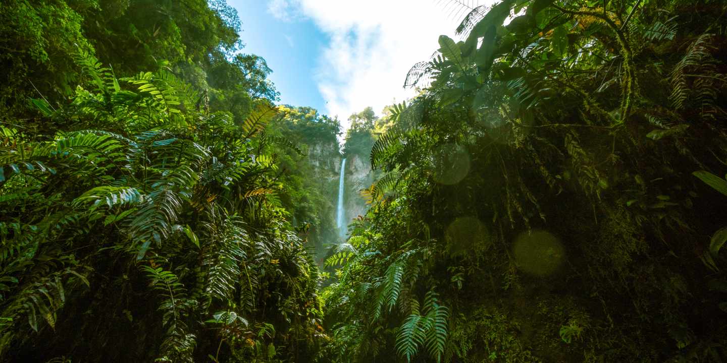 costa-rica-wasserfall-im-dschungel-g-1457569657.jpg