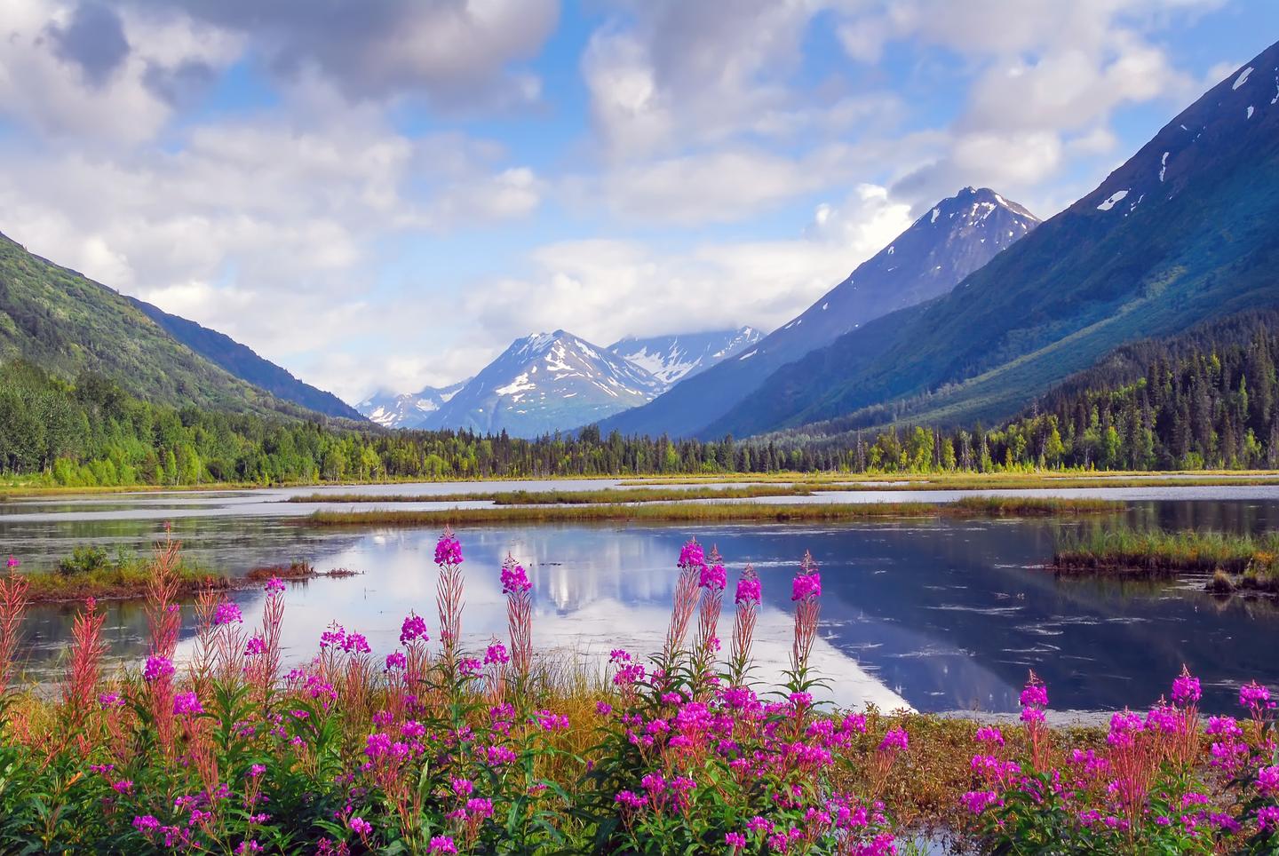 bltd3738457ae3ac6e6-usa-alaska-landschaft-t-477498650.jpg usa-alaska-landschaft-t-477498650.jpg