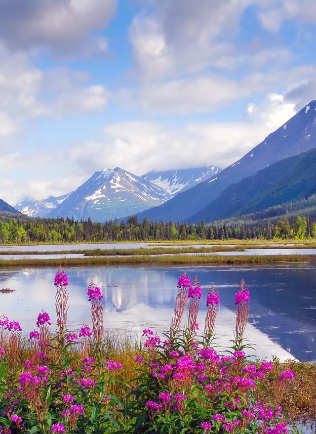 Mitarbeiter-Tipp: Alaska