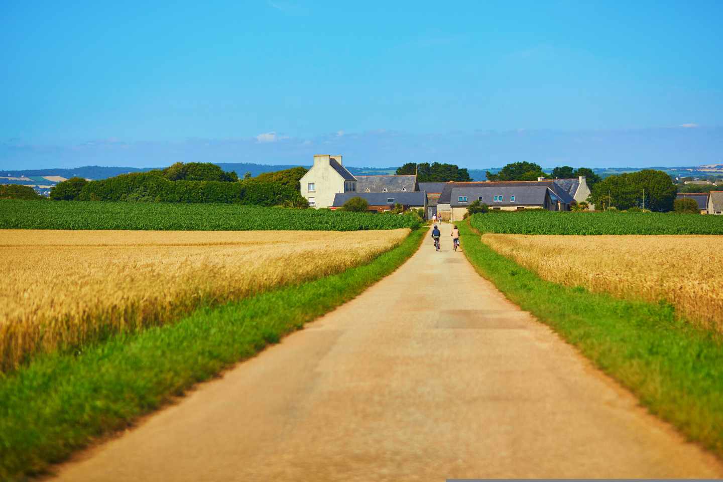 frankreich-bretagne-radfahrer-klein-g-1269092296.jpg