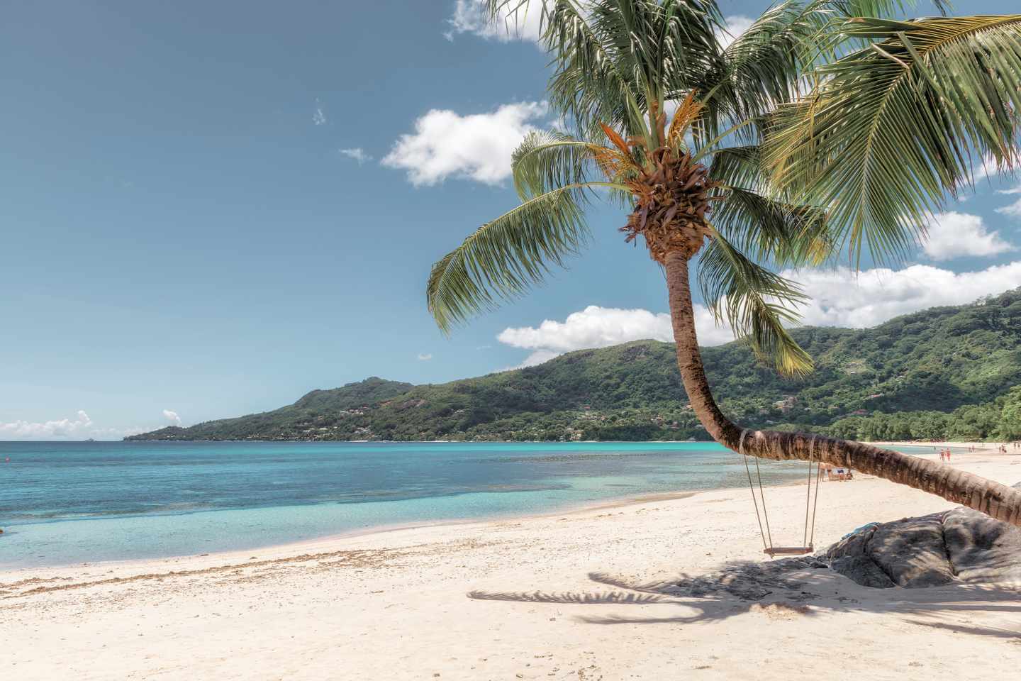 seychellen-mahe-beau-vallon-palme-am-strand-g-678466946.jpg