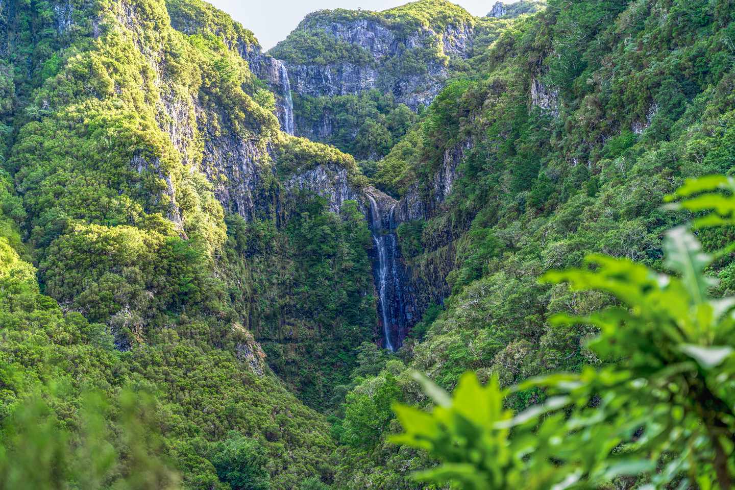 Blick auf den Wasserfall der 25 Fontes zwischen steilen, bewaldeten Felswänden im Rabaçal auf Madeira, Portugal