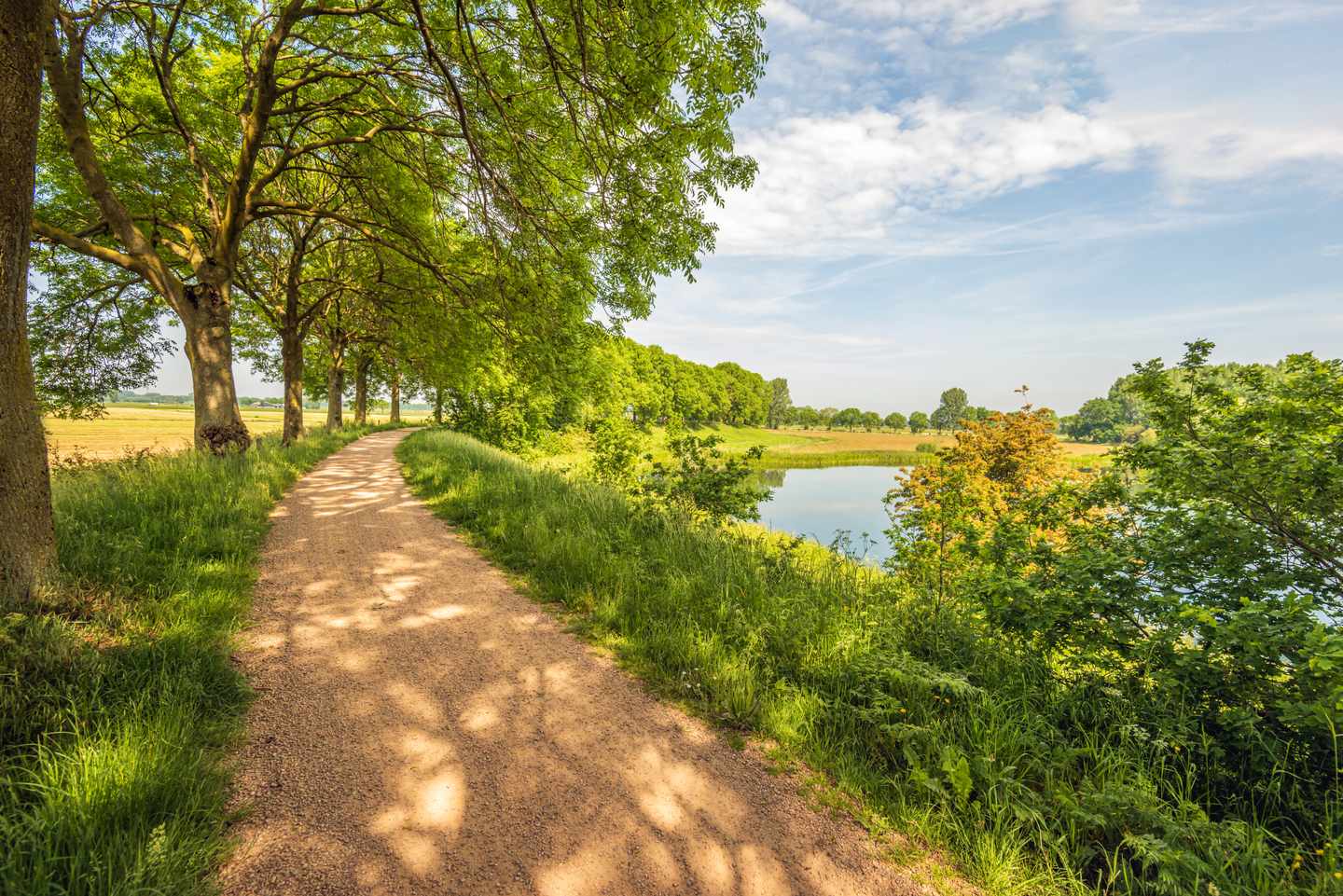 Niederlande-Nordbrabant-Landschaft-mit-Sandweg-g-1359508904.jpg