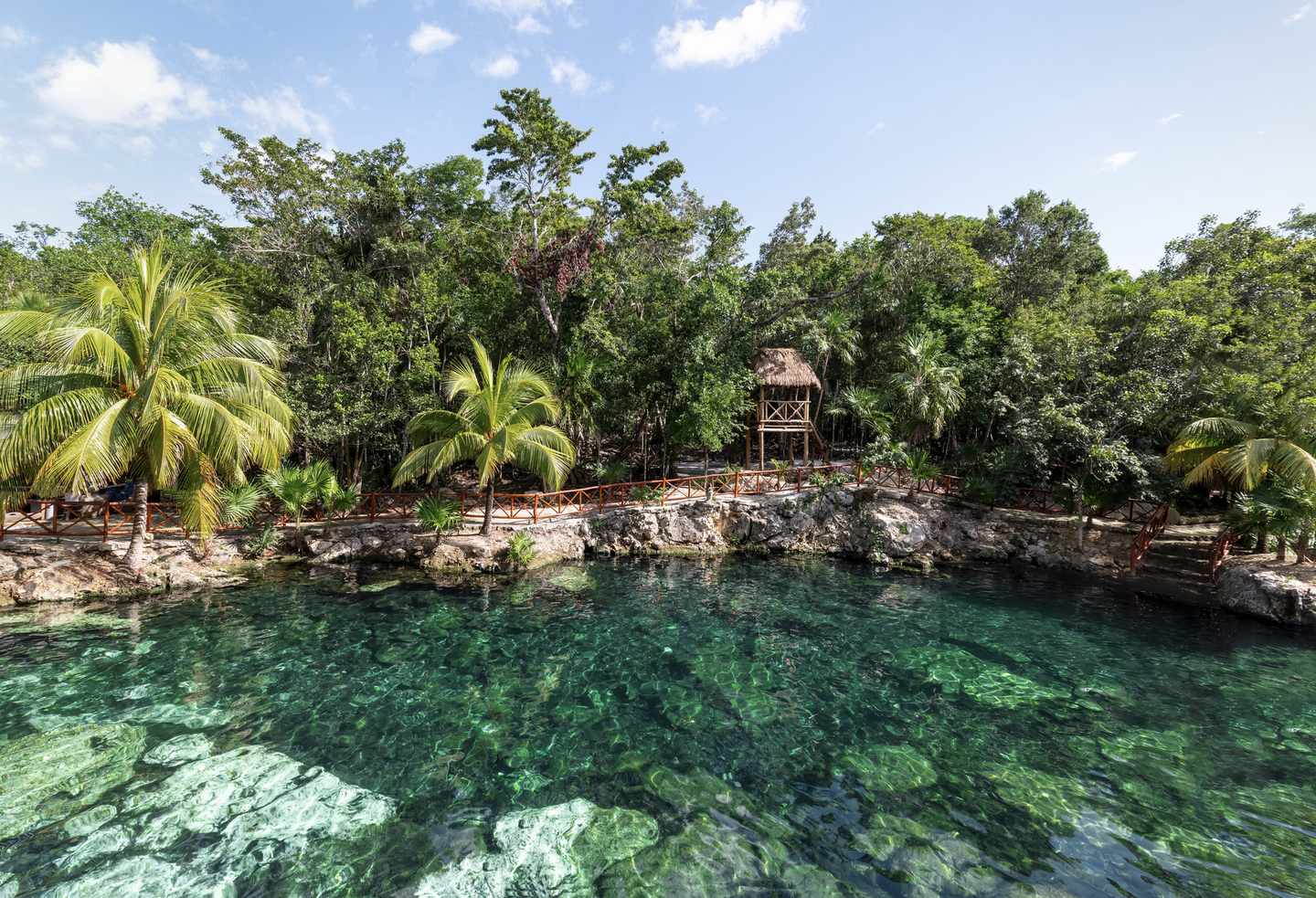 Cenoten entdecken im Yucatan-Urlaub