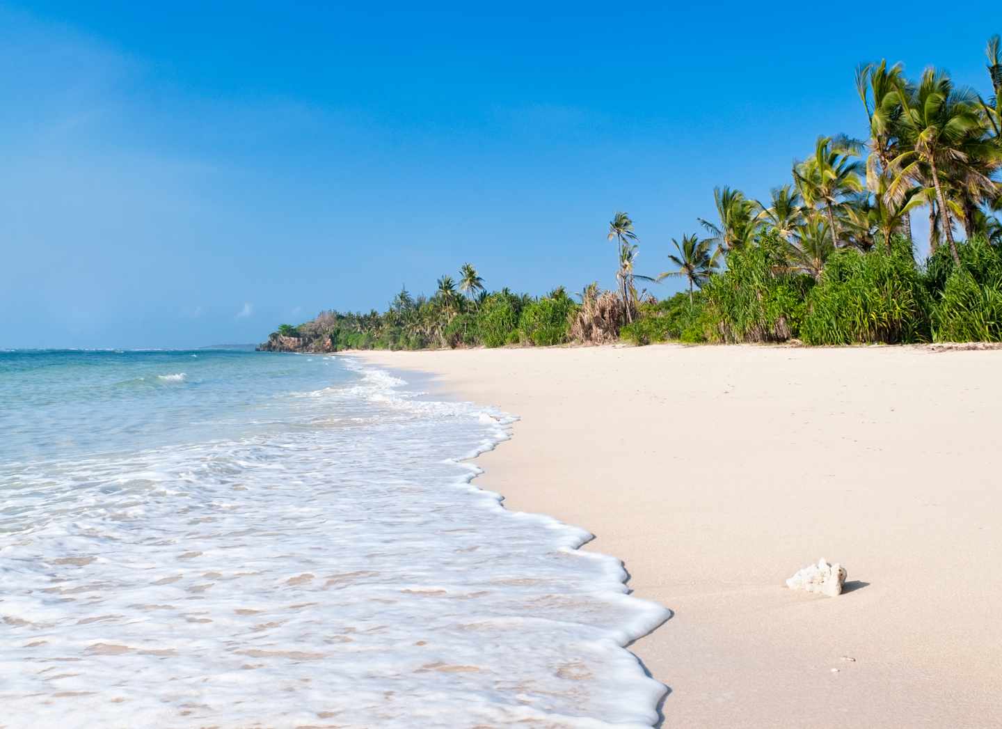kenia-korallen-palmen-msambweni-beach-g-157696633.jpg