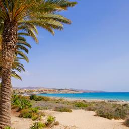 Hotels Costa Calma