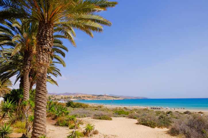 Hotels Costa Calma
