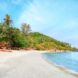 thailand-koh-samui-strand-palmen-t-635839532.jpg