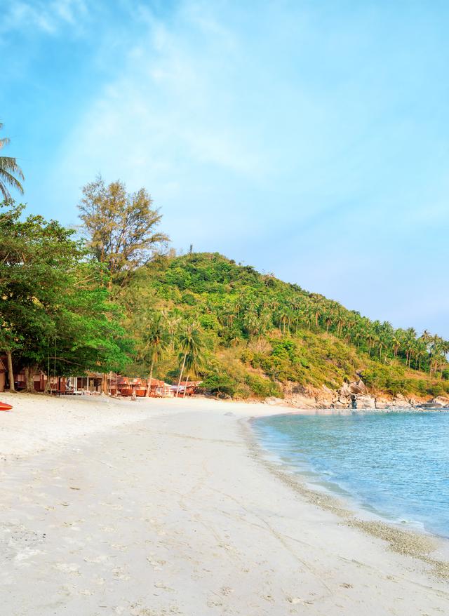 Inselhopping in Thailand thailand-koh-samui-strand-palmen-t-635839532.jpg