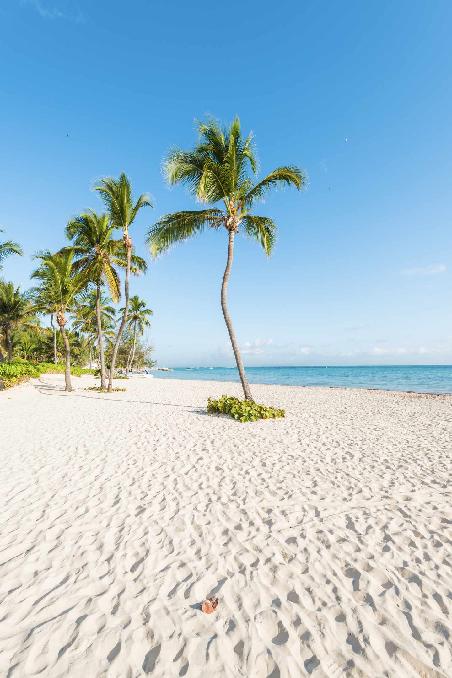 GettyImages-857750728.jpg Blick auf Palmen am Bavaro Strand in Punta Cana, dominikanische Republik.