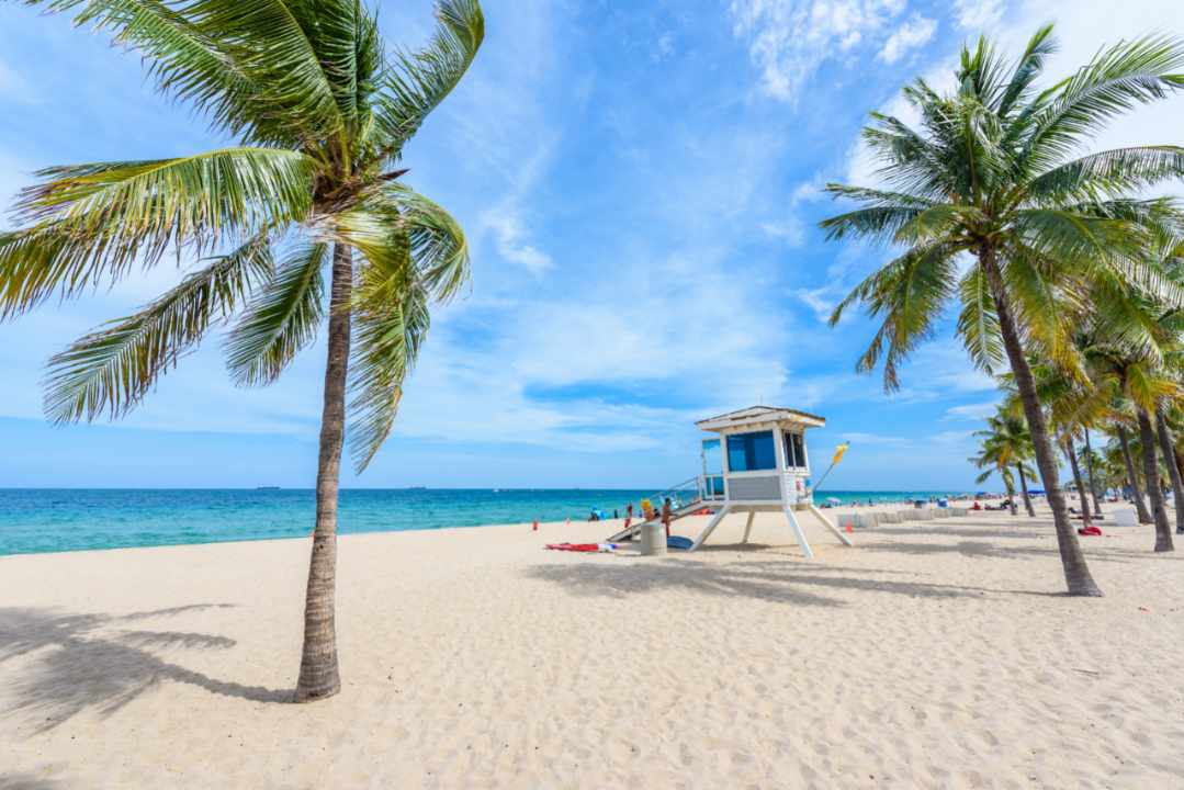 usa-florida-fort-lauderdale-palmen-strand-dertour-g-866150812.jpg