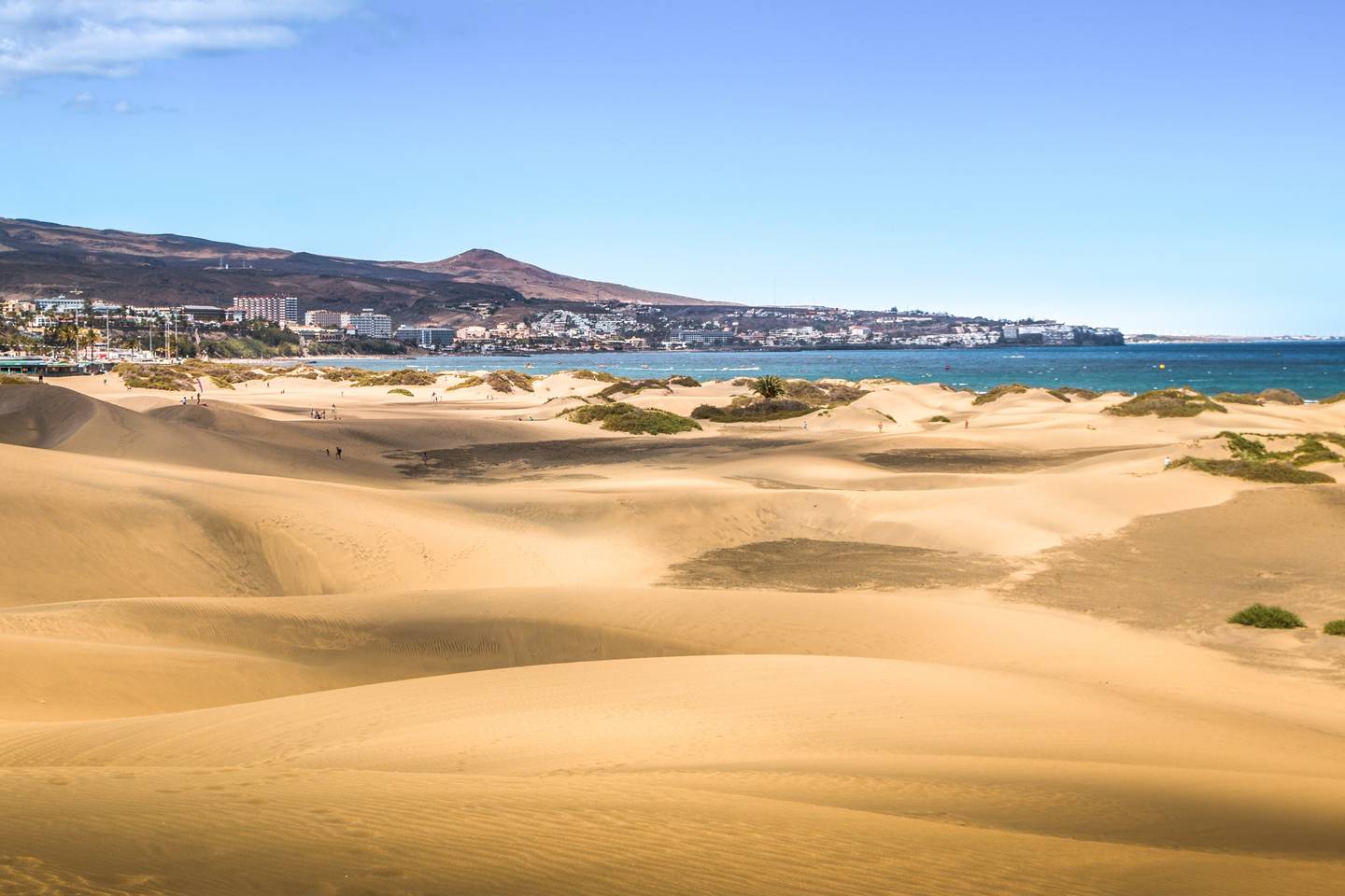 bltb84372ed9b274a57-spanien-kanaren-gran-canaria-maspalomas-duenenlandschaft-g-896174414.jpg spanien-kanaren-gran-canaria-maspalomas-duenenlandschaft-g-896174414.jpg