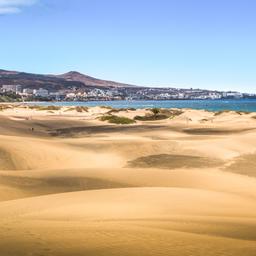 spanien-kanaren-gran-canaria-maspalomas-duenenlandschaft-g-896174414.jpg