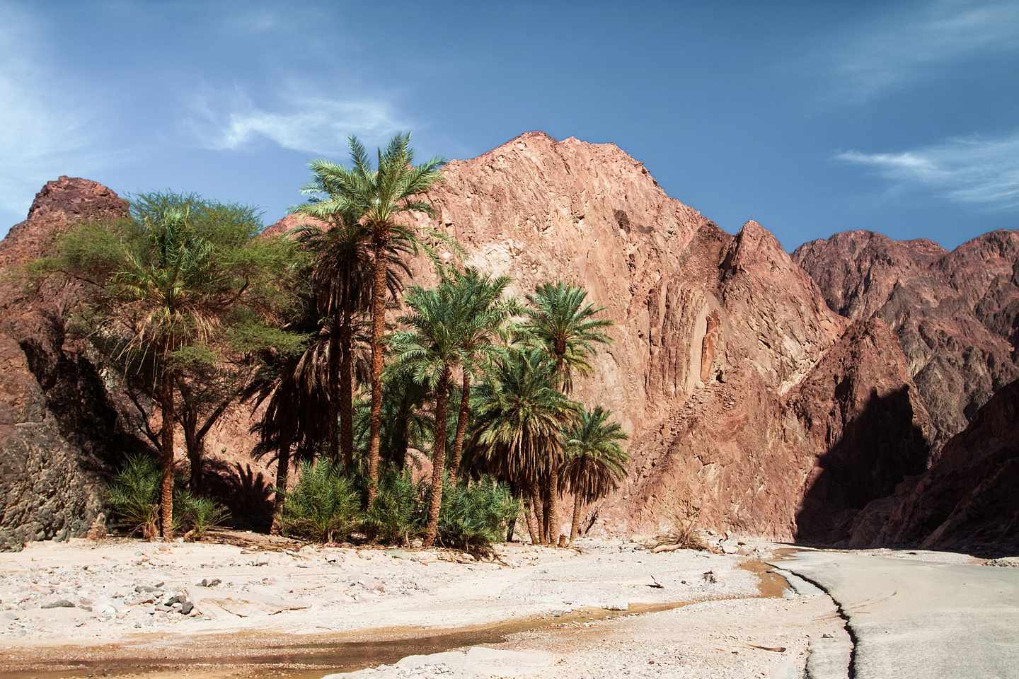 tunesien-wueste-sahara-wuestentour-oase-g-601121758.jpg
