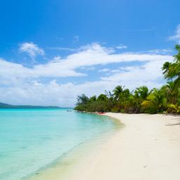 cook-inseln-paradies-sandstrand-palme-g-510580216.jpg