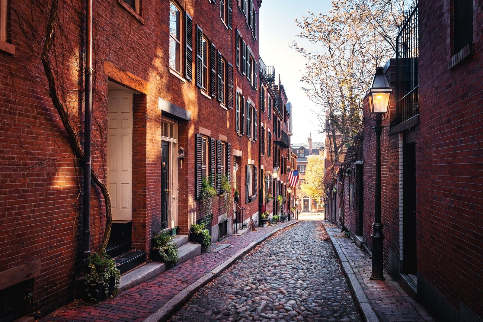 Acorn Street