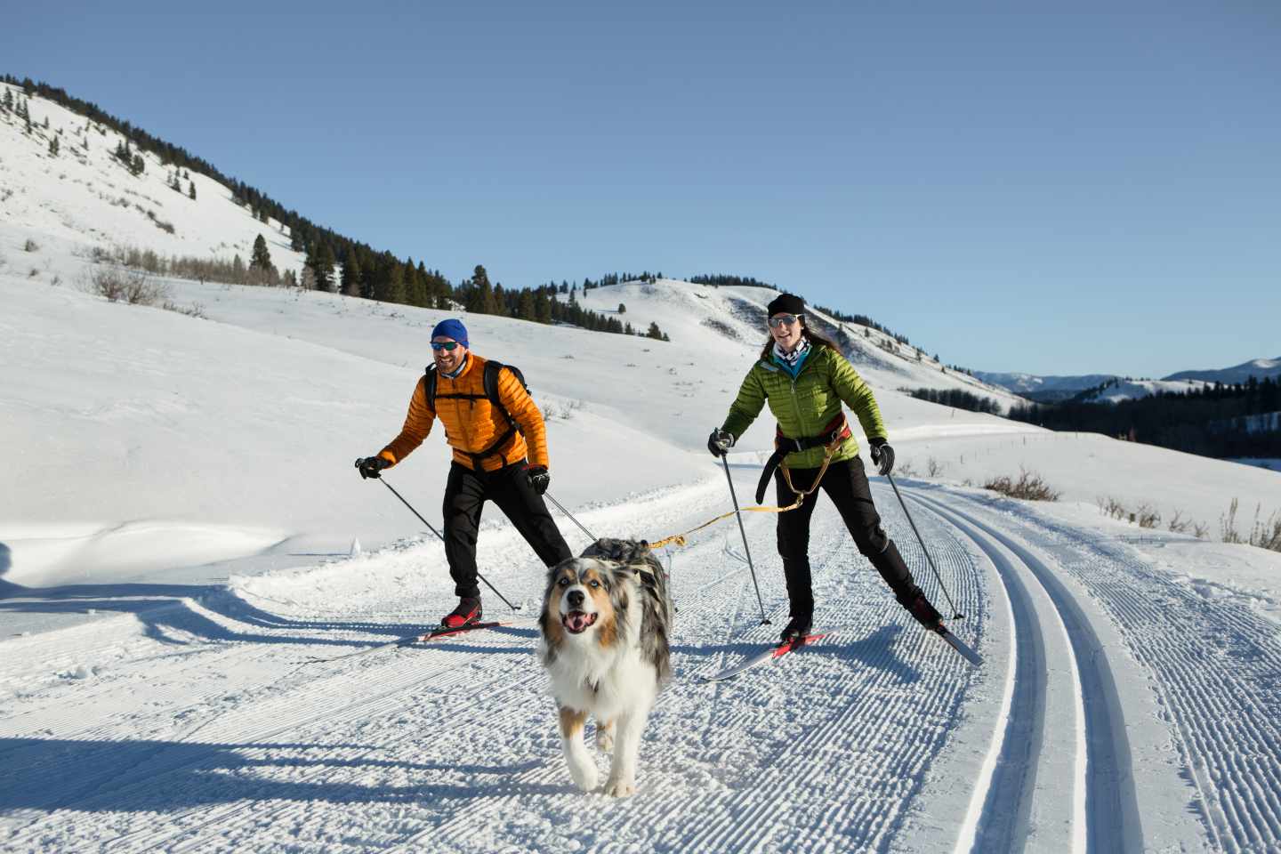 skijoering-g-947548236.jpg