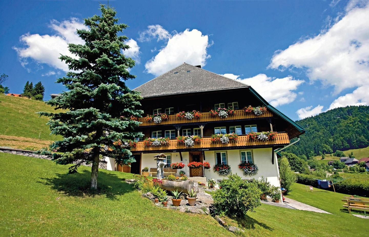 deutschland-schwarzwald-hotel-t-W39391.jpg