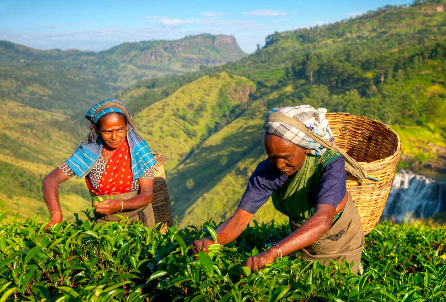sri-lanka-g-862152836.jpg