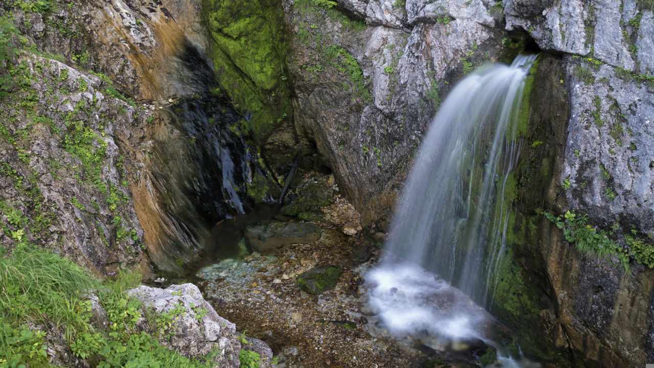 salzburger-land-dachserfall-t-979419464.jpg