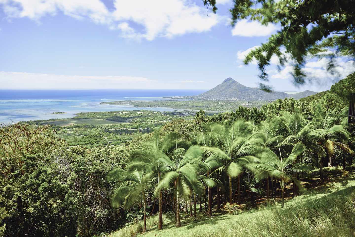 mauritius-chamarel-küste-und-natur-g-1124346298.jpeg