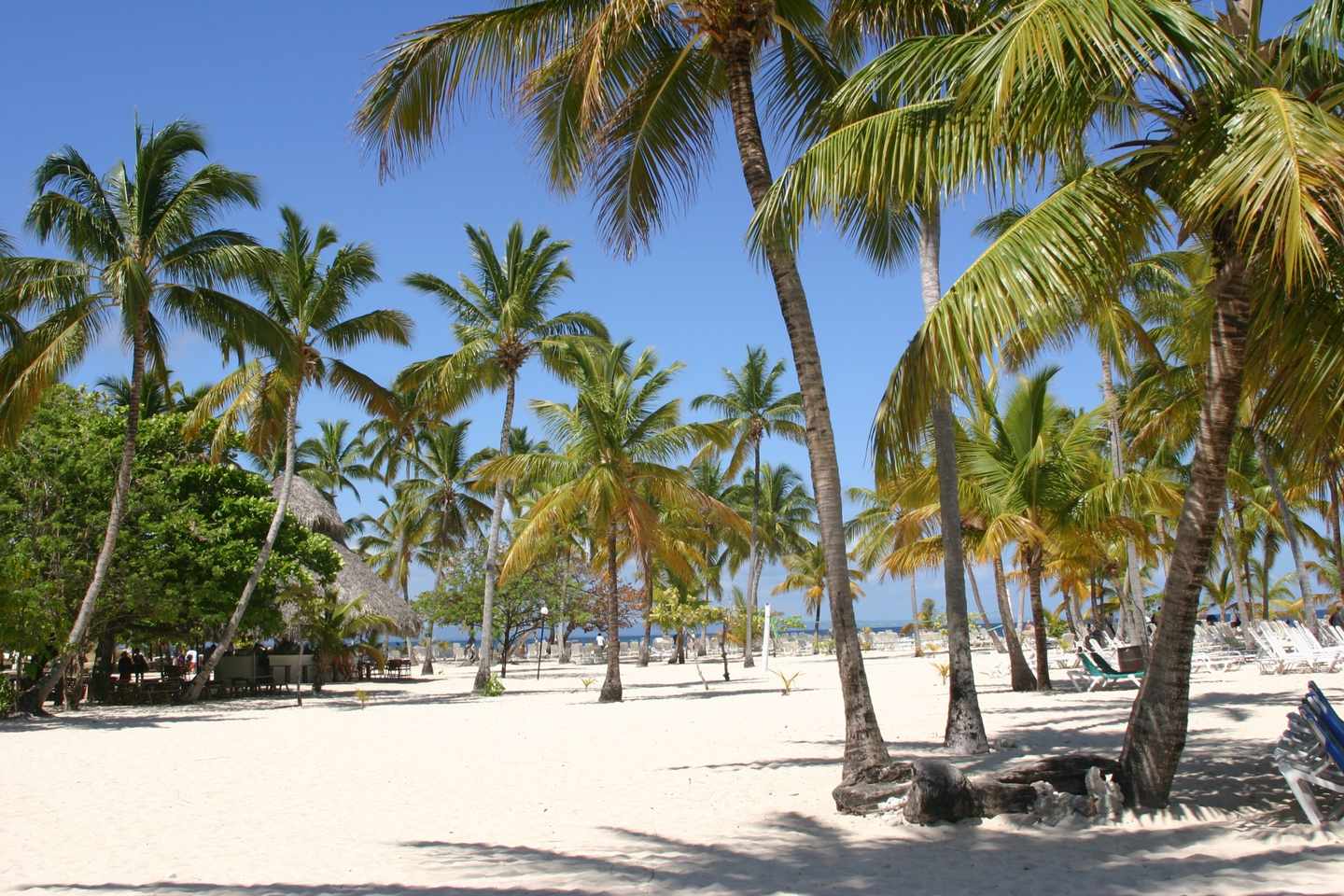 dominikanische-republik-cayo-levantado-g-464628115.jpg
