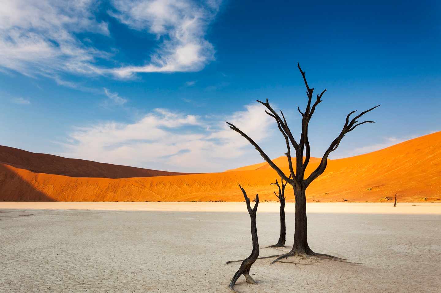 namibia-deadvlei-sossusvlei-t-579135224.jpg