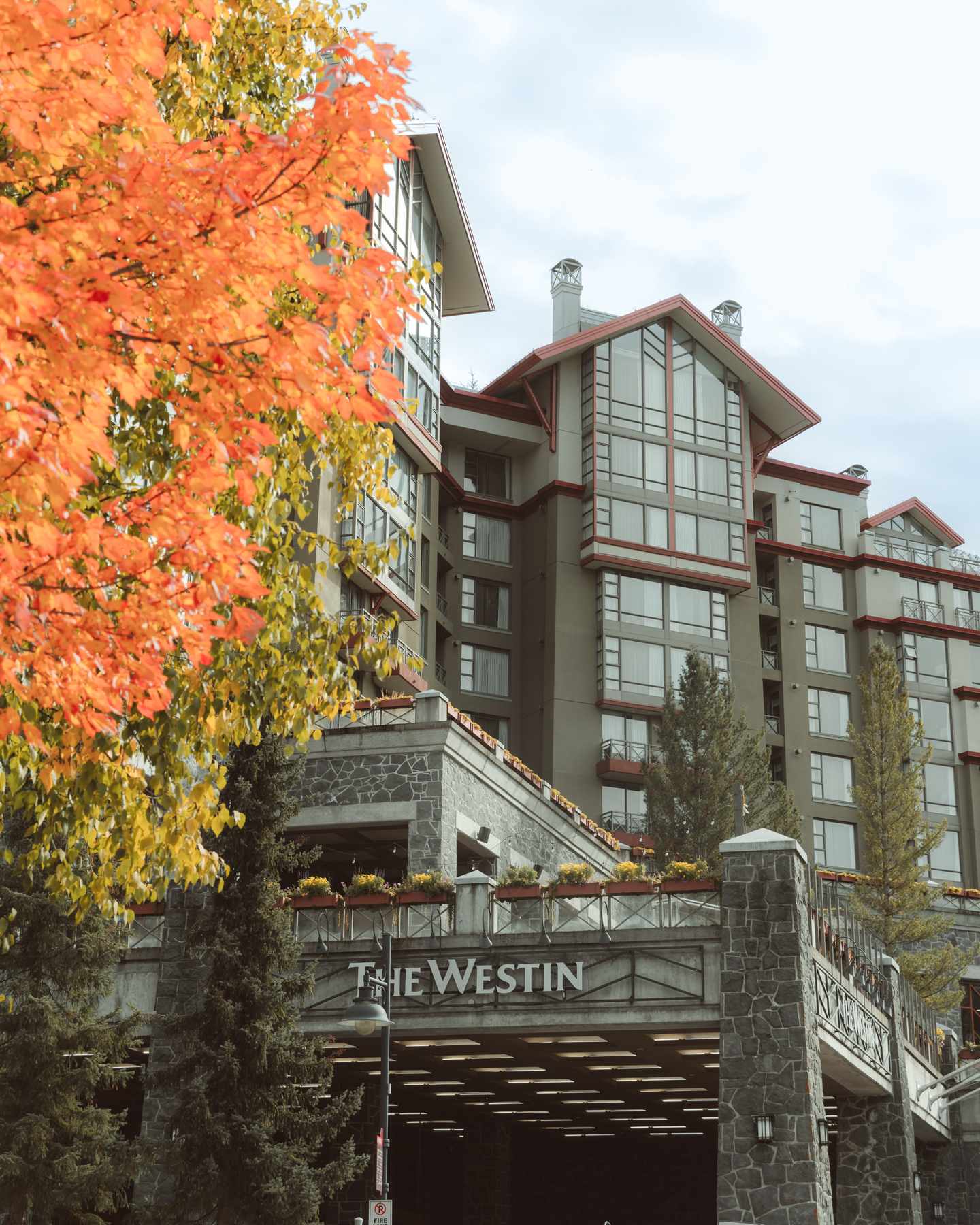 Whistler