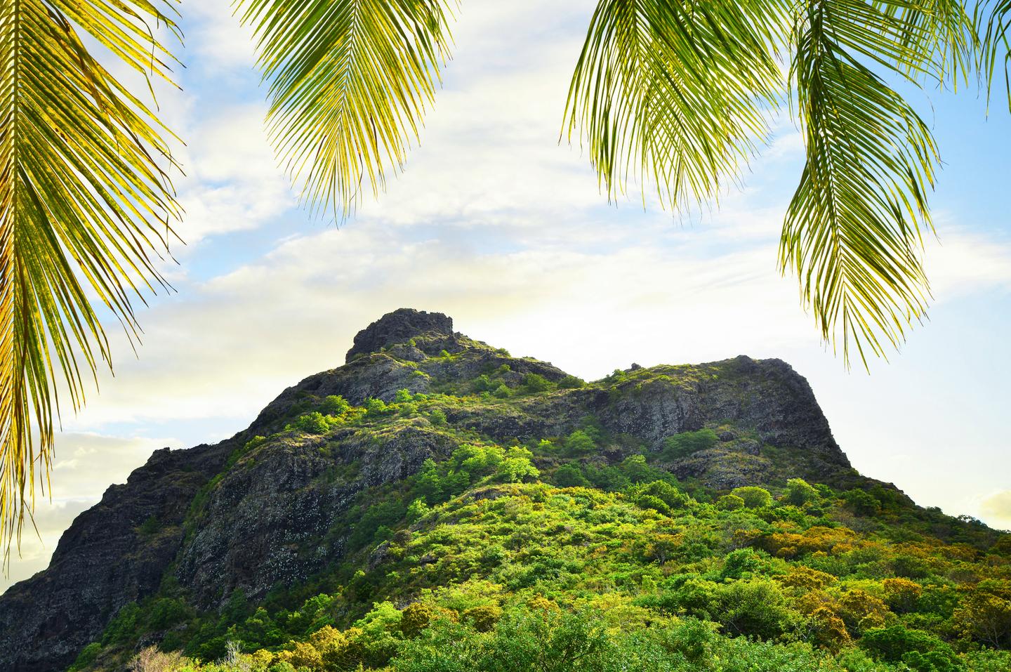 mauritius-le-morne-brabant-g-1192448174.jpg