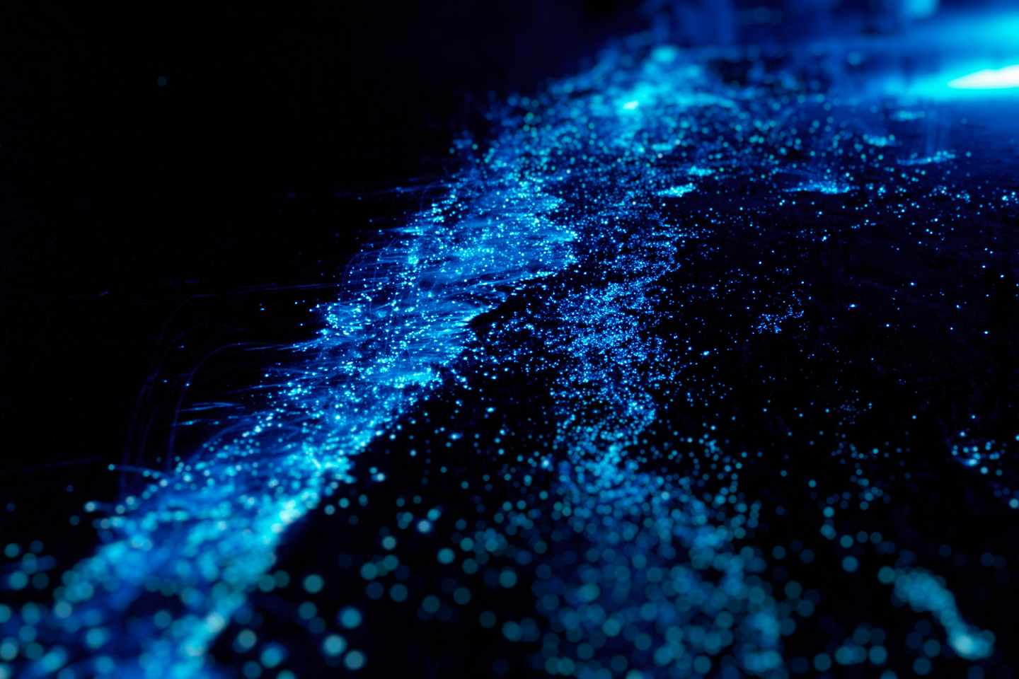 malediven-meeresleuchten-biolumineszenz-g-522078955.jpg