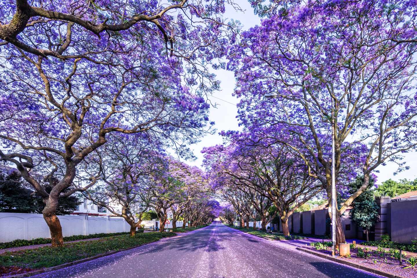 blt4cf5543f1e5e67bc-suedafrika-johannesburg-city-g-1283484830.jpg Johannesburg Sehenswürdigkeiten