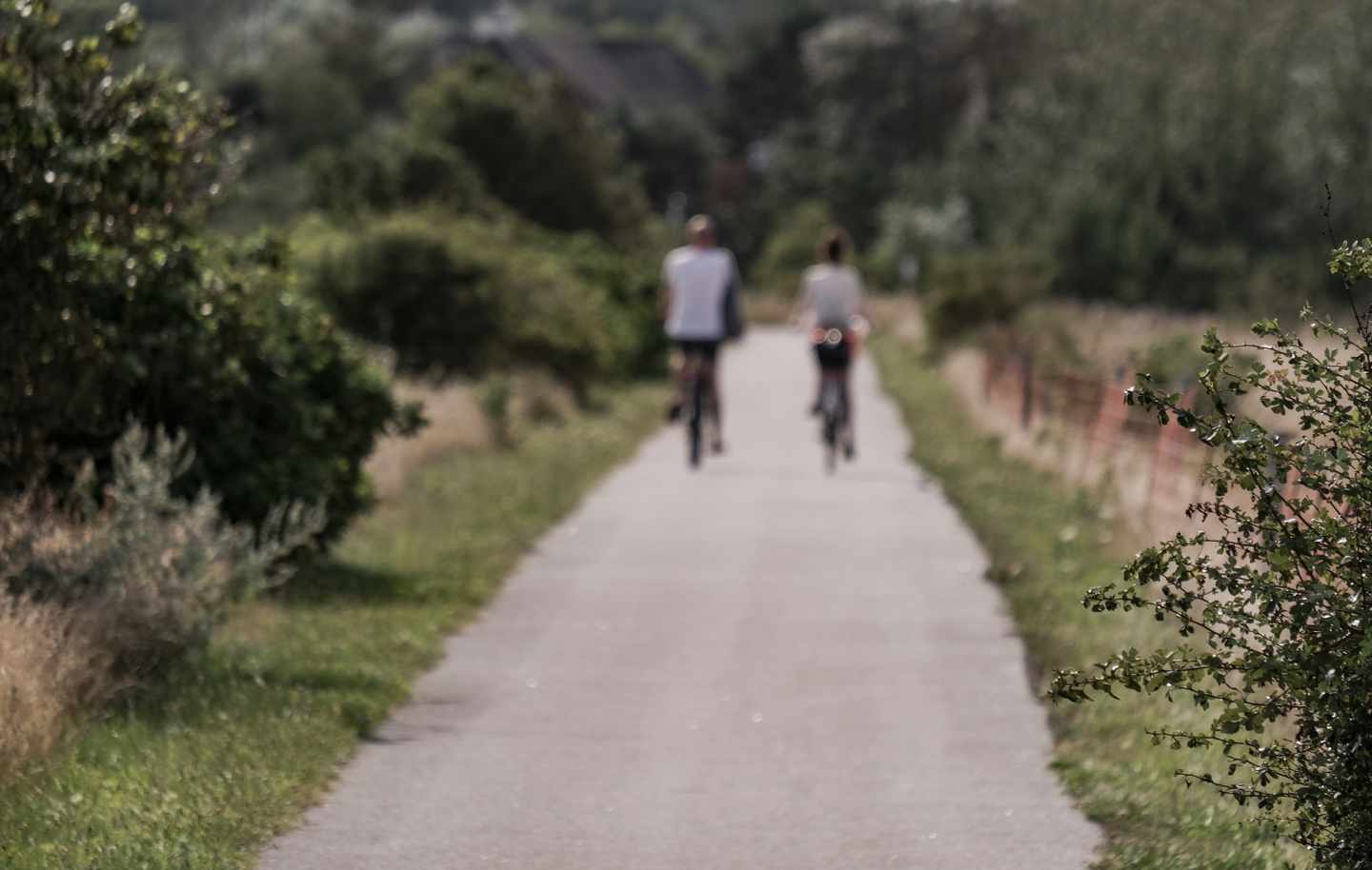 deutschland-schleswig-holstein-sylt-paar-radweg-g-1365581902.jpg
