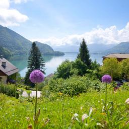 oesterreich-tirol-see-berge-t-456137003.jpg