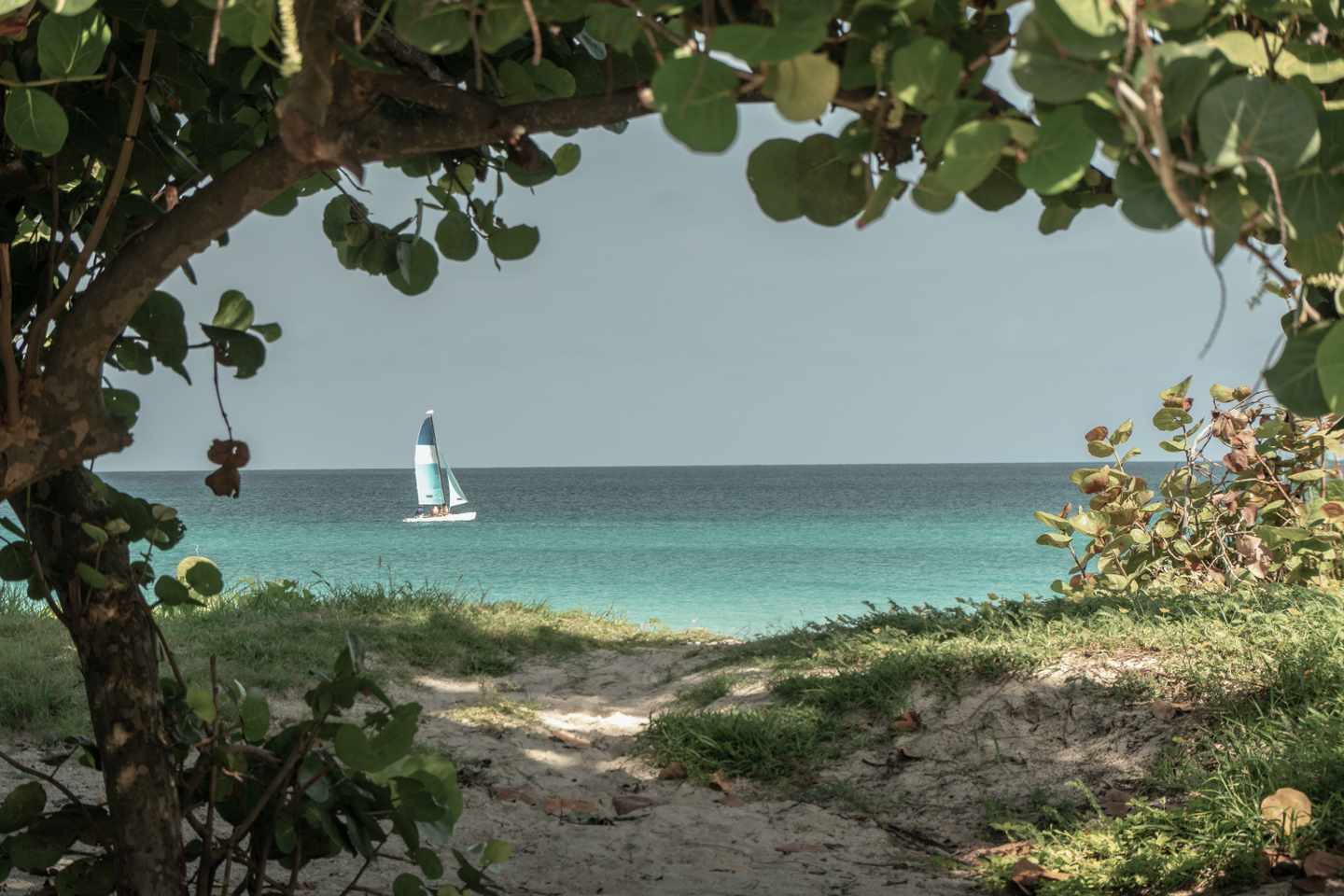 karibik-kuba-varadero-strand-segelboot-g-1065155368.jpg